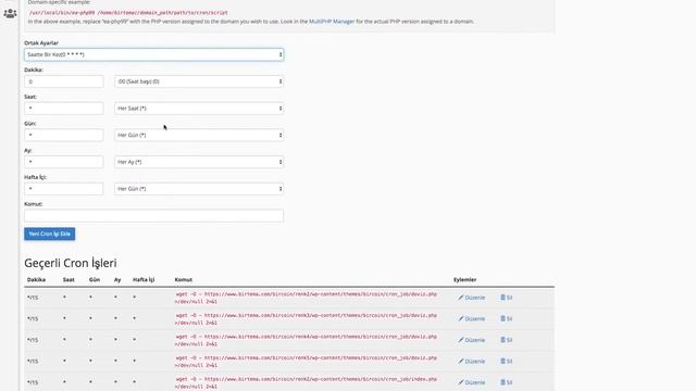 BirBot Otomatik & Cron İçerik Ayarları смотреть онлайн