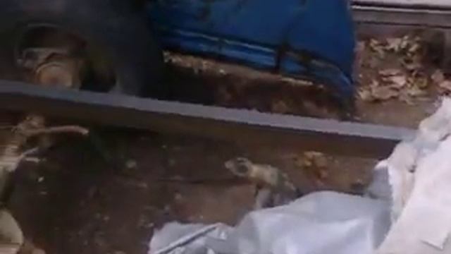 внедорожник из оки 