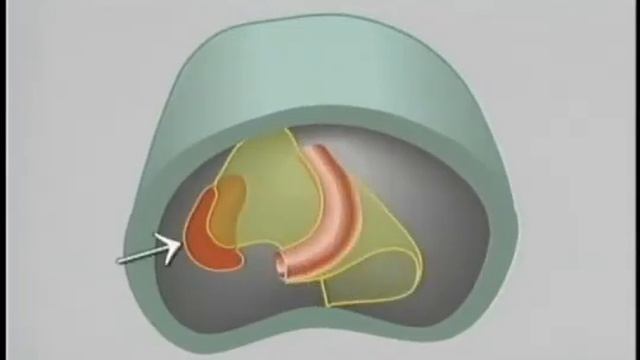 GIT development смотреть онлайн