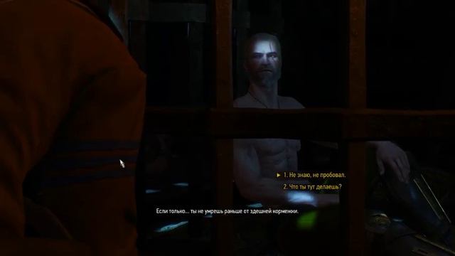 The Witcher 3 Wild Hunt /После прохождения основного сюжета смотреть онлайн
