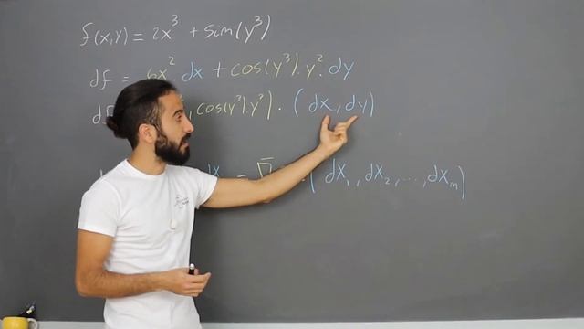 Diferencial de una función y regla de la cadena | Gauss Online смотреть онлайн