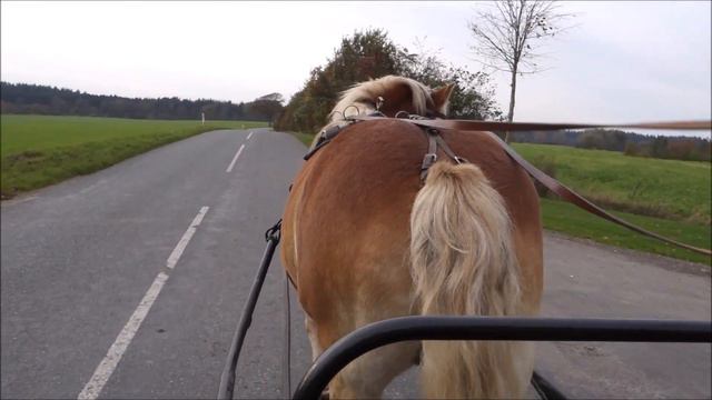 Niels og Boline på køretur, efterår 2019 смотреть онлайн