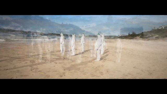 HOMAGE charles levin film 1 minute смотреть онлайн