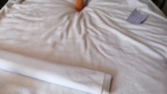 Unboxing Diamond Art Club's 'Spirits' by Dakota Daetwiler смотреть онлайн