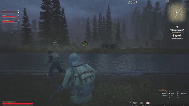 очень смешное видео с очень смешной концовкой (трай сражается с кабанами) смотреть онлайн