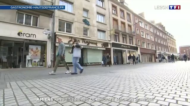 Le petit-neveu de la Première dame agressé : Emmanuel Macron fustige un acte "inqualifiable" смотреть онлайн