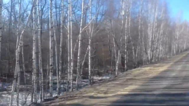 Забытые могилы.За Студенками.Усманский район. смотреть онлайн