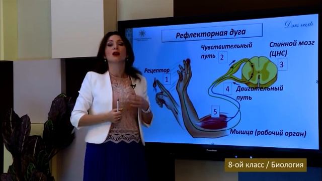 “Dərs vaxtı”: 8-ci sinif dərsləri (rus bölməsi) (22.10.2021) смотреть онлайн