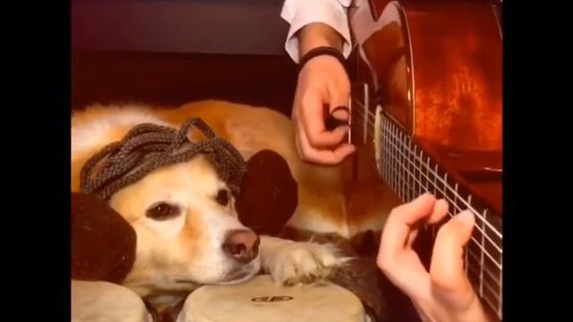 Ударник, что надо! смотреть онлайн