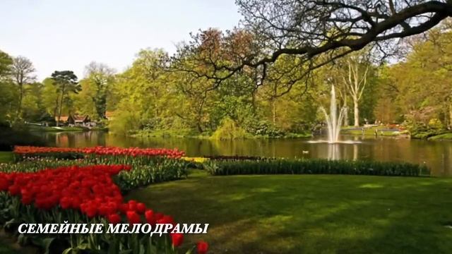 Родители выгнали Асю, а через 18 лет приехали повидать внука и застыли на пороге... смотреть онлайн