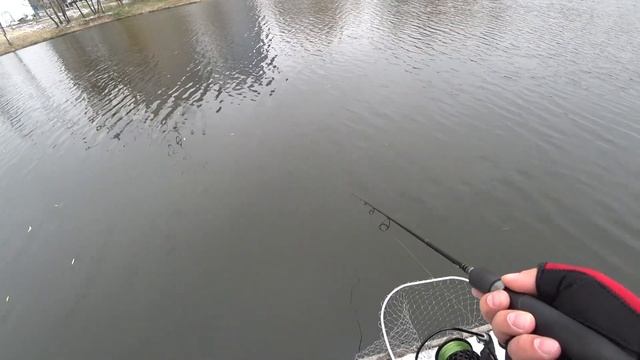 ВОБЛЕР TSUYOKI DRAGA 130SP цвет 123 смотреть онлайн