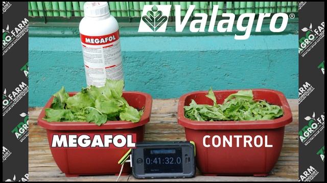 La soluzione Megafol di Valagro: stress e tempi di risposta смотреть онлайн
