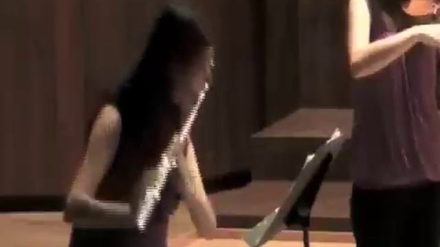 TELEMANN: Menuet I (alternativement) Menuet II, from a-minor Flute Suite смотреть онлайн