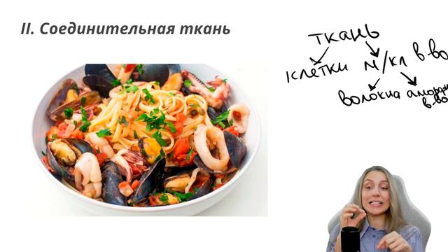 Эпителиальная и соединительная ткани | Анатомия человека смотреть онлайн