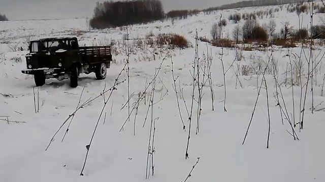 Прыгучая шишига смотреть онлайн