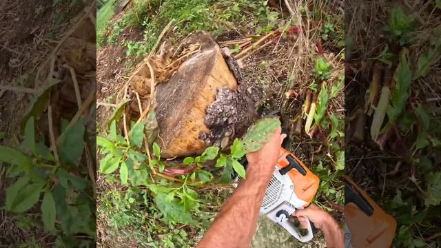 Landscaping Footage GoPro Hero 11 Mini смотреть онлайн