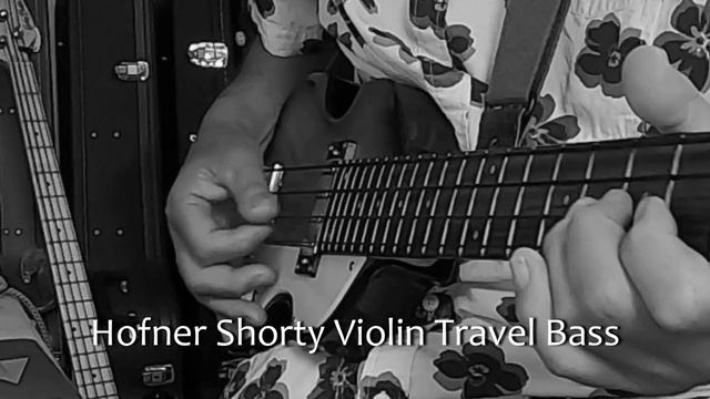 Michelle☆The Beatles【Hofner Shorty Violin Travel Bass】 смотреть онлайн