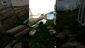 Строительство сарая и дровника