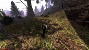 Готика 2 мод: Semi | Gothic 2 mod: Semi. Моего отца похитили бандиты и я решил им отомстить! №1