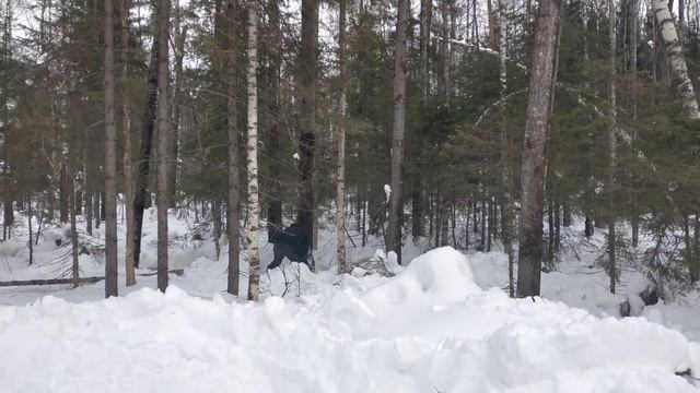 6 марта 2022 г.