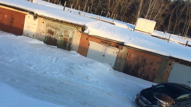 Узбекские бойные голуби смотреть онлайн