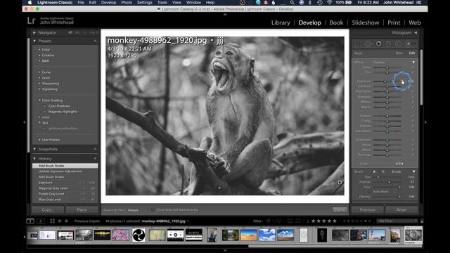 Lightroom Classic 2020-Presets смотреть онлайн