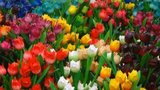 Для майских дам! смотреть онлайн