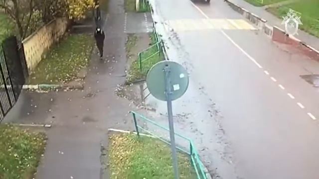 Видео задержания подозреваемого в убийстве двух женщин смотреть онлайн