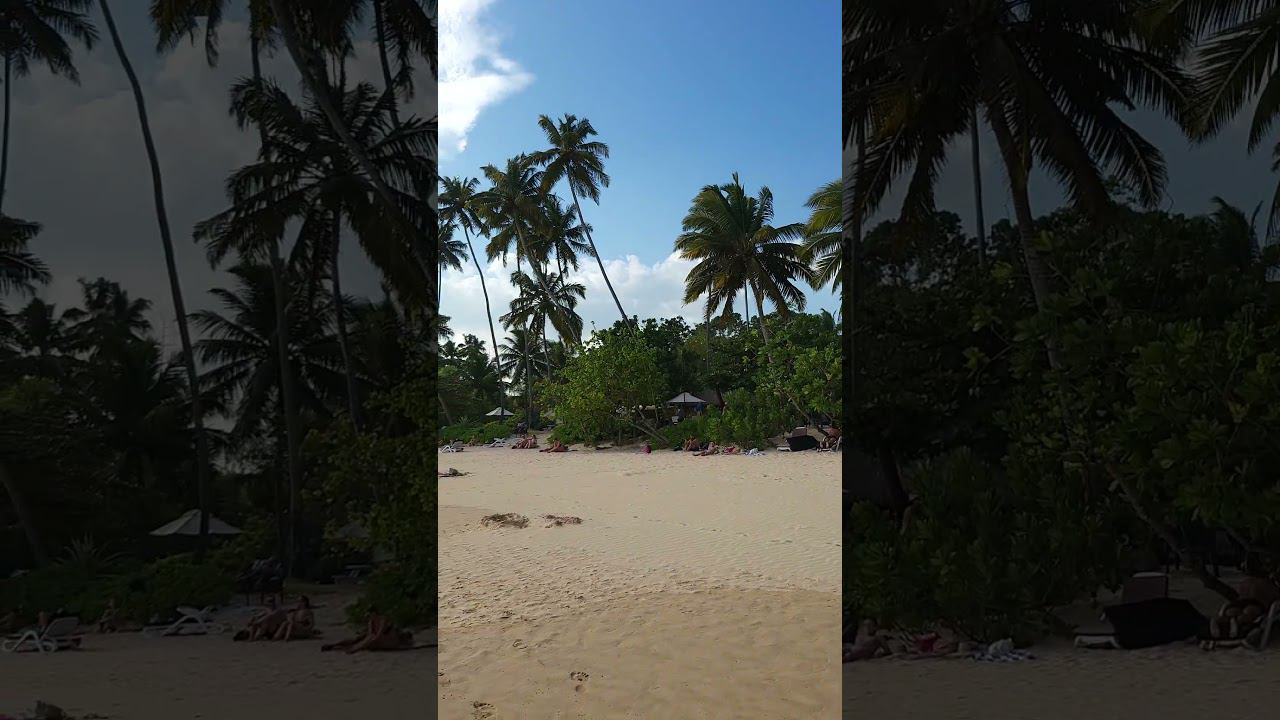 Шри-Ланка, Мирисса. смотреть онлайн