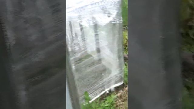 Весна, пора делать Парник из стрейч плёнки, не надо резать парниковую плёнку, не нужен поликарбонат смотреть онлайн