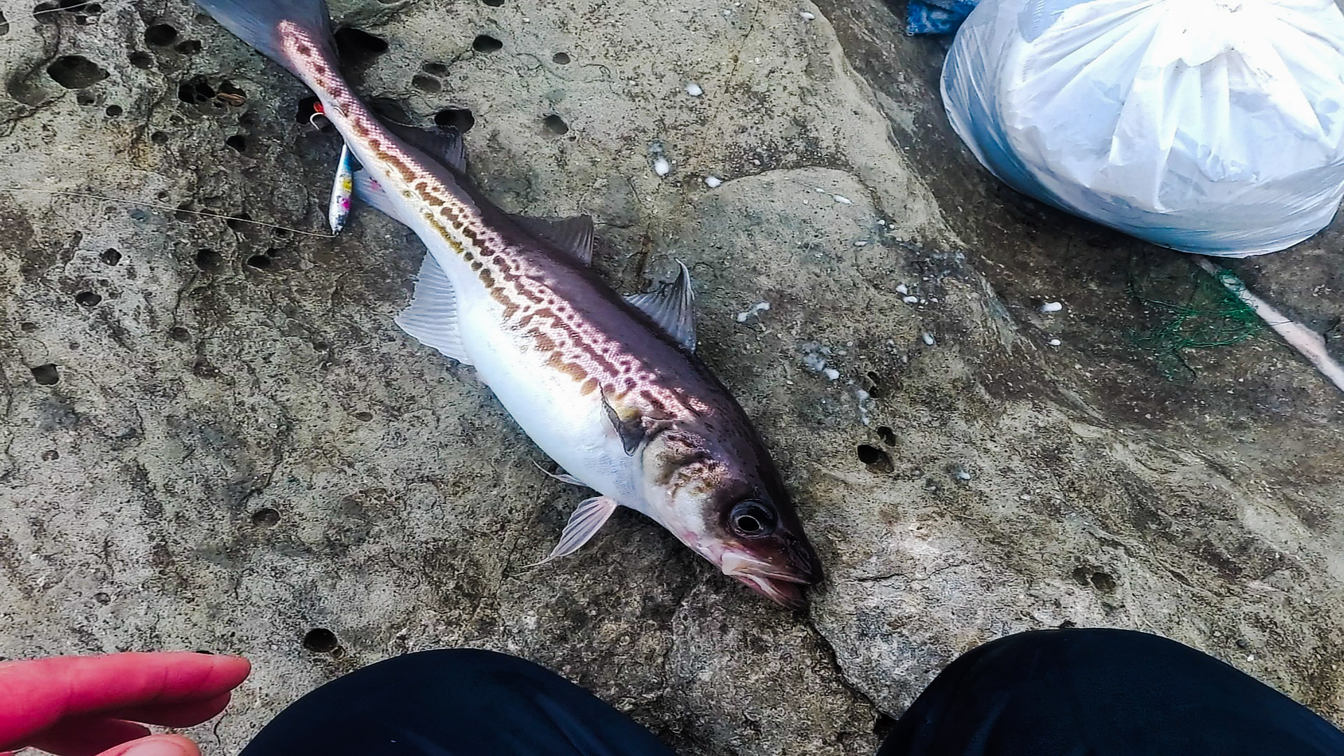 РЫБАЛКА ПО ЖИДКОЙ ВОДЕ / ОБОРВАЛ ВСЕ СНАСТИ, НО ПОЙМАЛ смотреть онлайн