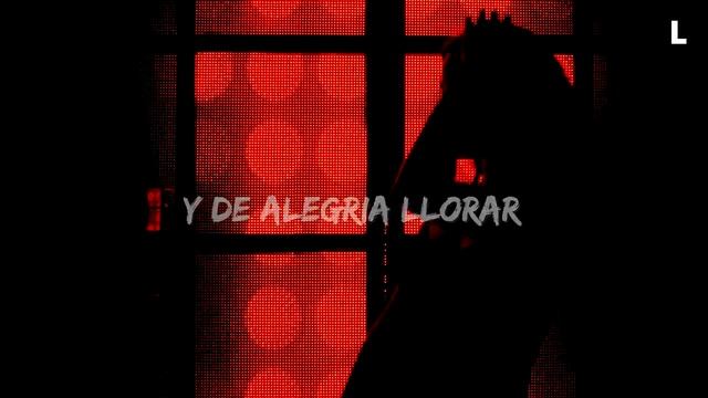 FLY PROJECT - BIPOLAR (Versuri/Lyrics)