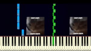 Chipi Chipi Chapa Chapa Cat Meme | Original Song PIANO Tutorial