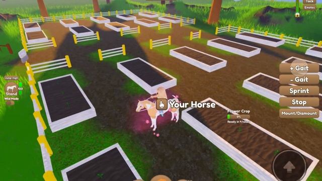 How to Get *NEON FLOWERS* | Wild Horse Islands смотреть онлайн