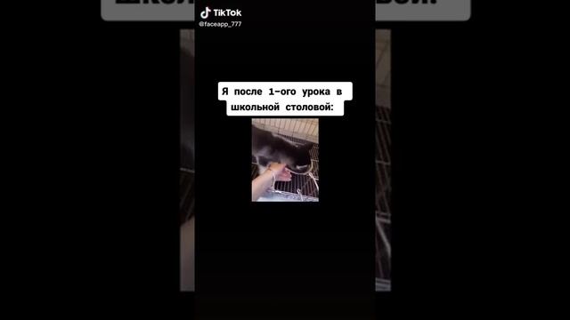 Я на в школьной столовой. После 1 урока