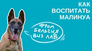 Как воспитать малинуа