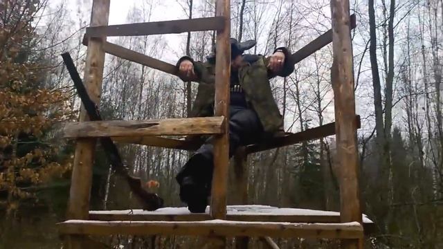 охота на благородного оленя