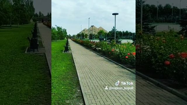 Лучший бассейн Донецка. смотреть онлайн