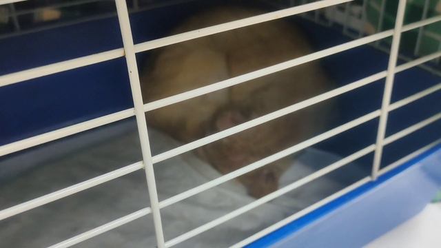 Вечер в клинике смотреть онлайн