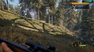 ПЕРВЫЙ ВЗГЛЯД на The Hunter: Call of the Wild