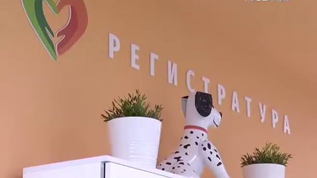 В стратегию развития Самарской области заложено масштабное совершенствование системы здравоохранени смотреть онлайн