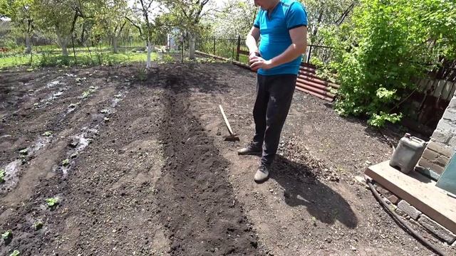 Ставим ванны для полива...сажаем арахис, кабачки,подгортаем картошку! смотреть онлайн