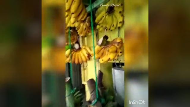 Traditional Morning Market in East Java Indonesia | Pasar Pagi di Surabaya смотреть онлайн