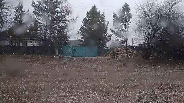 Дастер ничего не понимает, грусть-тоска хозяина съедает. смотреть онлайн