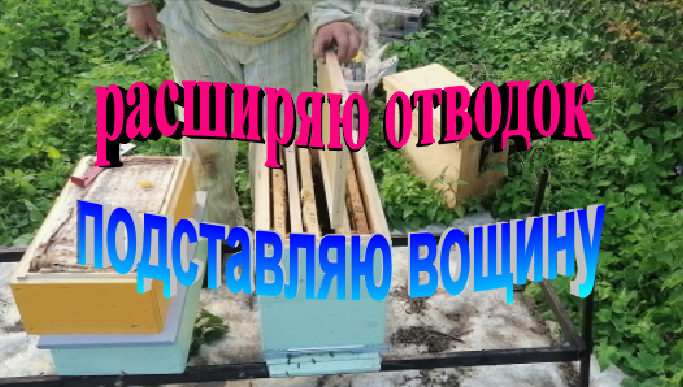 Расширяю отводок. Подставляю вощину. смотреть онлайн