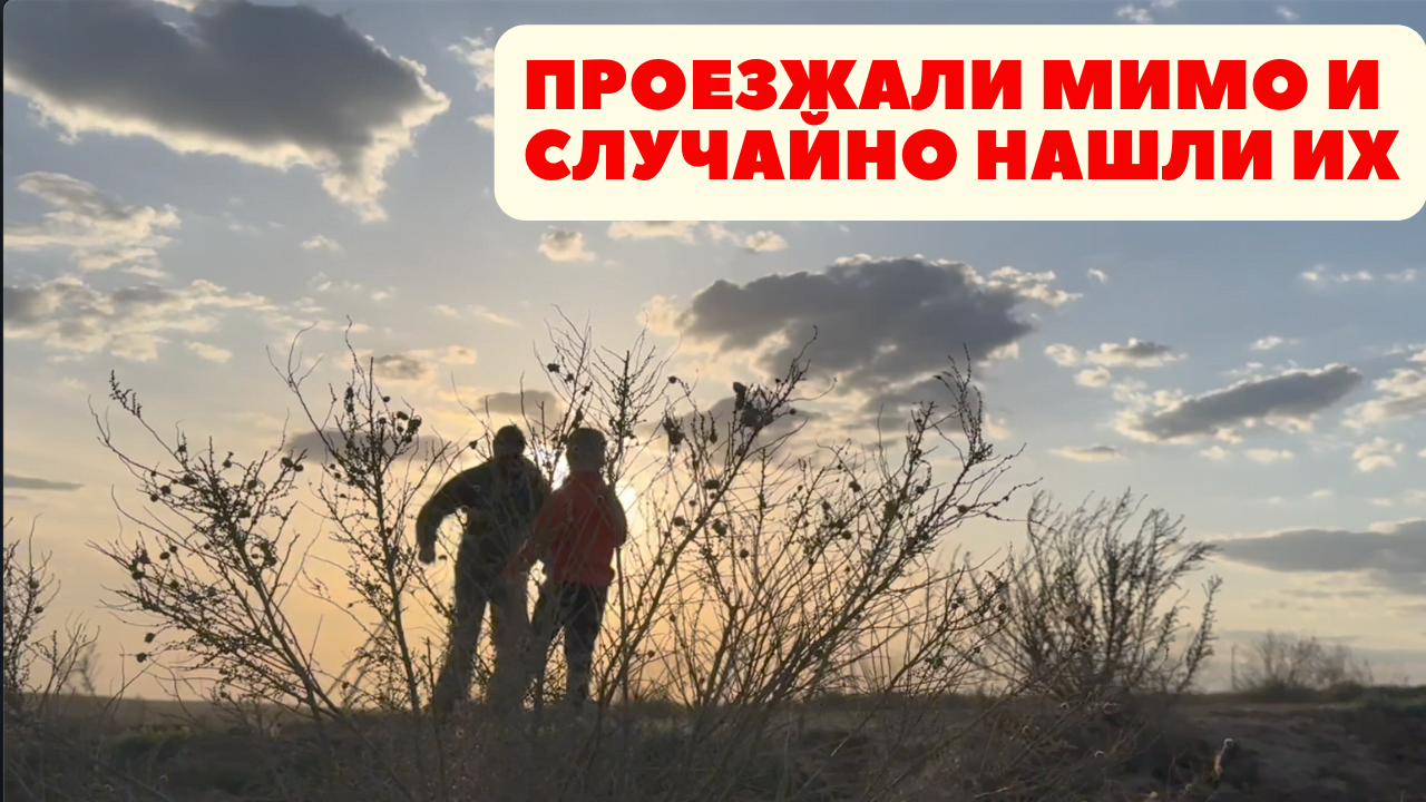 Дикие тюльпаны. Неожиданная встреча в степи. Апрель часть 8: Путешествие на юг России смотреть онлайн