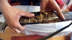 Проблема ATA ARMS Pegasus