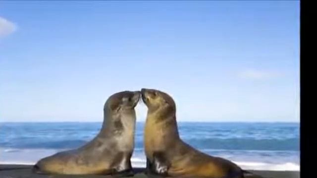 МАНТРА ИСПОЛНЕНИЯ ЖЕЛАНИЙ Это невероятно! смотреть онлайн