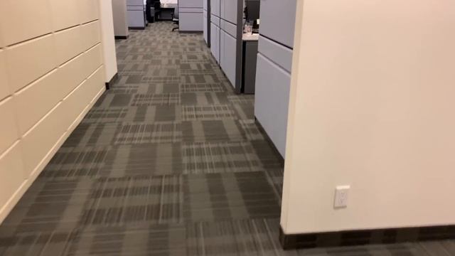 Один день из жизни программиста в Канаде смотреть онлайн