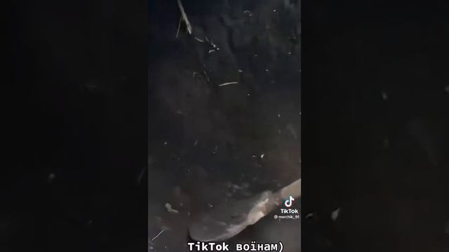 Послание для тех тикток воинов что не на передовой смотреть онлайн